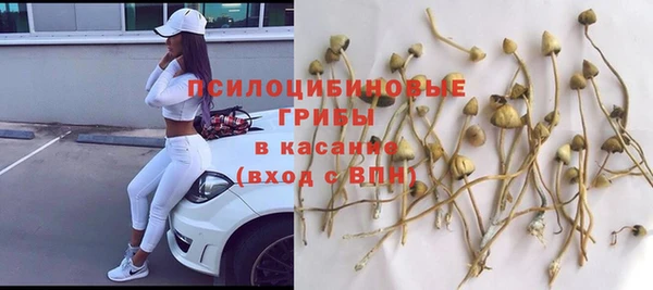 2c-b Алексин