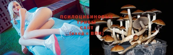 герыч Алзамай